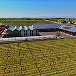 Tenuta Santome * Biancade