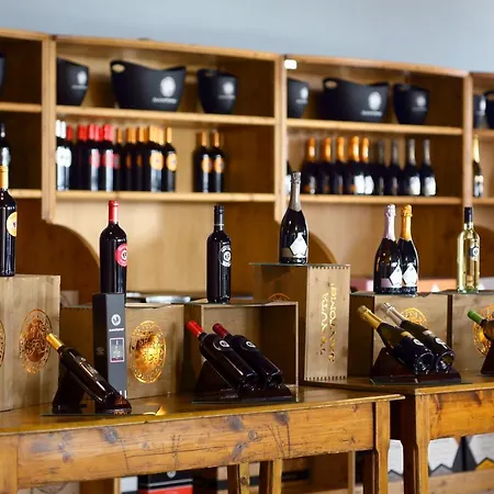 泰努塔圣托美酒店 *