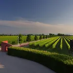 Tenuta Santome Çiftlik konaklama Biancade